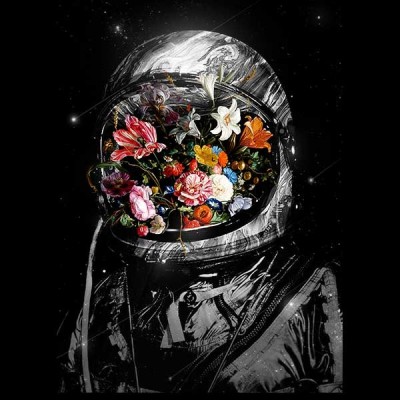 تیشرت دخترانه Bloom