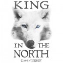 تیشرت Game of Thrones Northern King