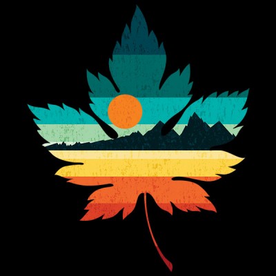 تیشرت A Leaf Sunset