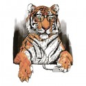 تی شرت Smart Tiger