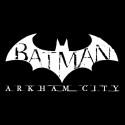 تی شرت Batman Arkham City