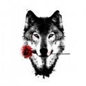 تیشرت Black Rose