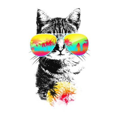 تی شرت Cat Breeze