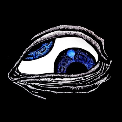 تی شرت TOOL Lateralus