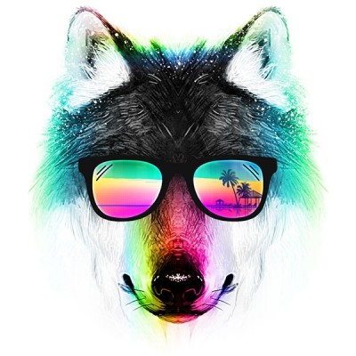 تی شرت Summer Wolf