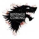 تی شرت Revenge is coming