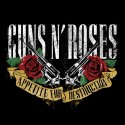 سویشرت Guns N' Roses Banner
