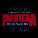 سویشرت Pantera Domination