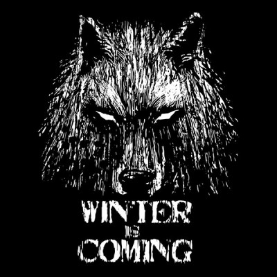 تی شرت Winter is Coming