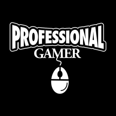 سویشرت هودی Professional Gamer