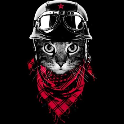 تی شرت دخترانه The Adventurer Cat