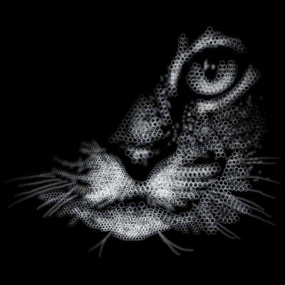 تیشرت دخترانه The Cat