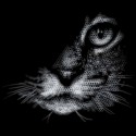 تیشرت دخترانه The Cat