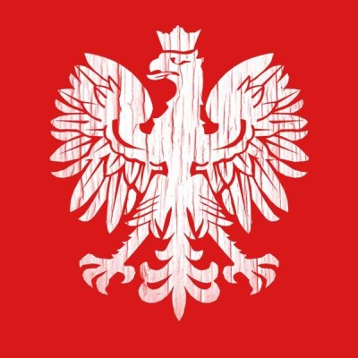 تیشرت Flag Eagle