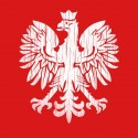 تیشرت Flag Eagle