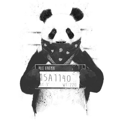 تیشرت Bad panda