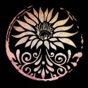 تیشرت Lotus
