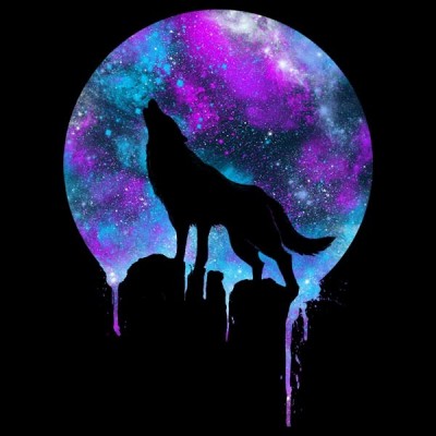 تیشرت Wolf in Space