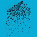 تیشرت Of a feather