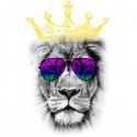 تیشرت Cool King