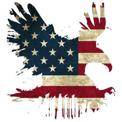 تیشرت Eagle Flight