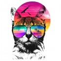 تیشرت Summer Cat