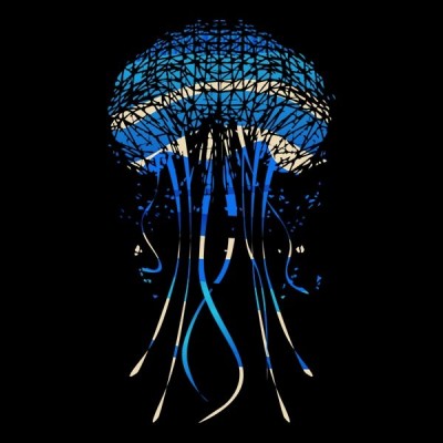 سویشرت یقه گرد Jellyfish