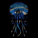 سویشرت یقه گرد Jellyfish