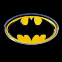 سویشرت هودی Batman Classic Logo