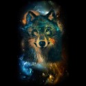 سویشرت یقه گرد Space Wolf