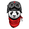 سویشرت یقه گرد The Happy Adventurer