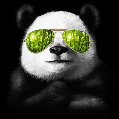 سویشرت هودی Cool panda
