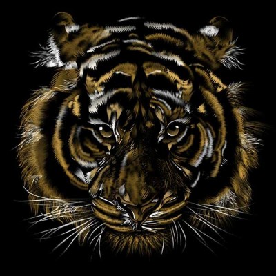 سویشرت هودی Wild Tiger