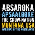 تیشرت Montana Warriors