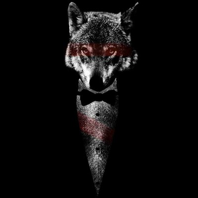 سویشرت هودی Wolf of Bangstry