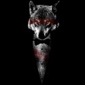سویشرت هودی Wolf of Bangstry