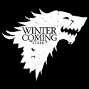 سویشرت هودی Winter Is Coming