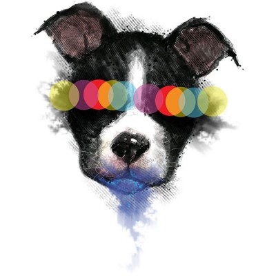 تیشرت با طرح Poison Feeling