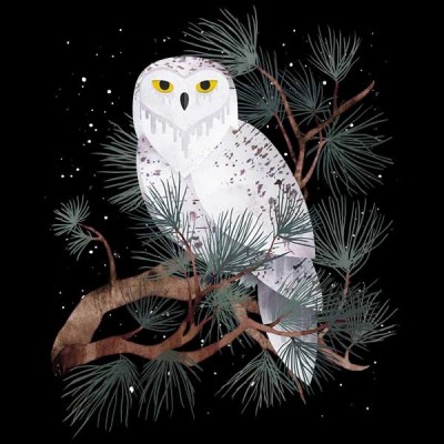 سویشرت هودی Snowy