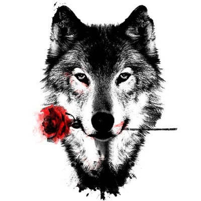 سویشرت یقه گرد Black Rose