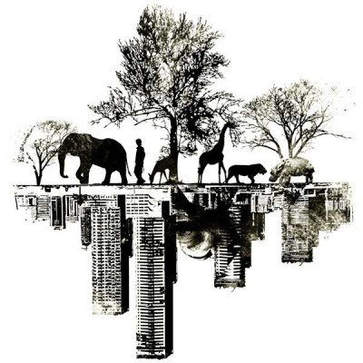 سویشرت یقه گرد Duality