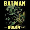 تیشرت Batman and Robin