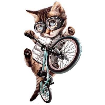 تیشرت دخترانه BMX CAT