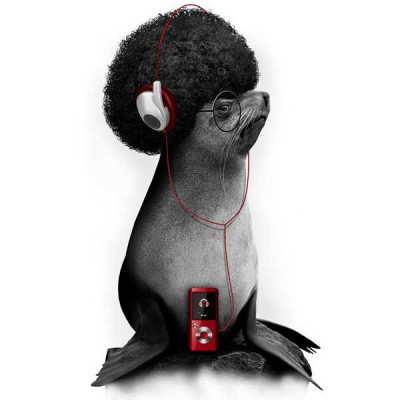 تیشرت GROOVY SEAL