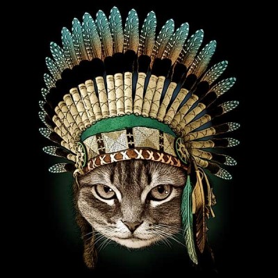 تیشرت دخترانه THE CHIEF CAT