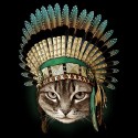 تیشرت دخترانه THE CHIEF CAT