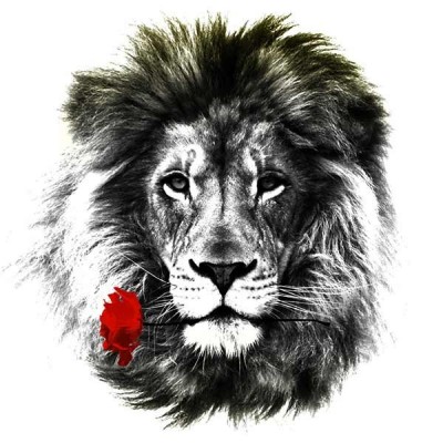 تیشرت طرح Romantic lion