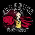 سویشرت هودی One Punch University
