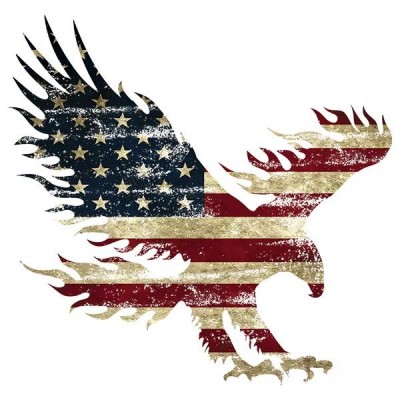 تیشرت طرح Cool eagle