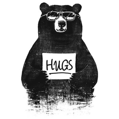 تیشرت طرح HUGS